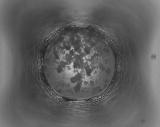X0000097471397200802221225