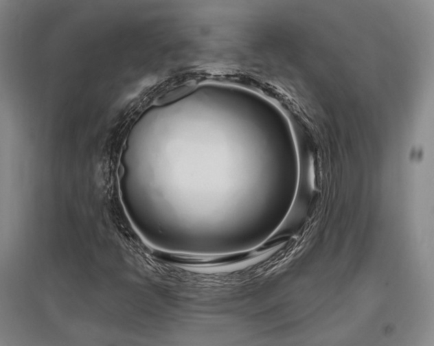 X0000097471398200802221225