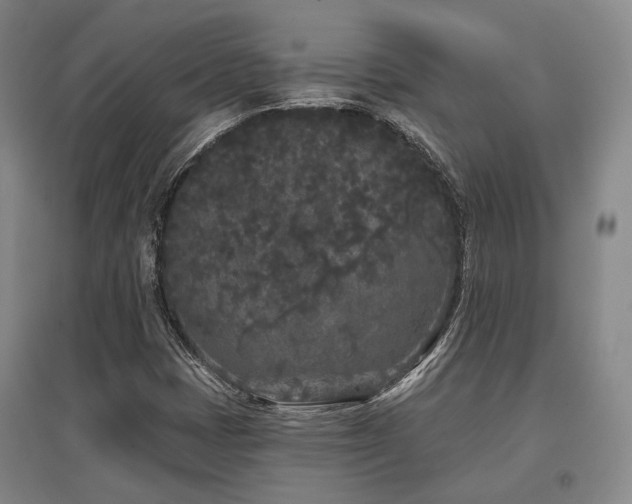 X0000097471401200802221225