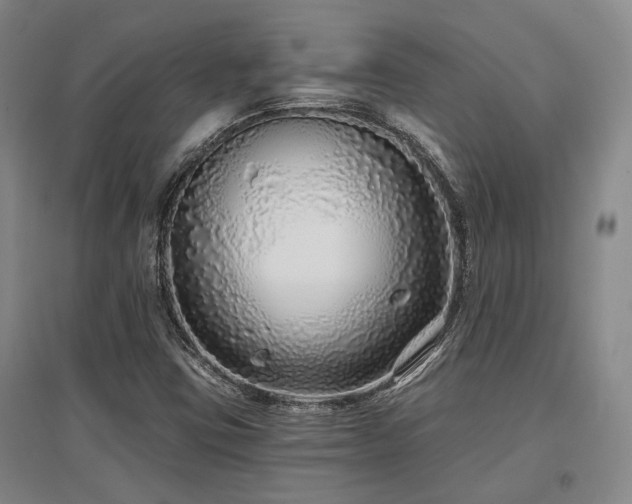 X0000097471403200802221225