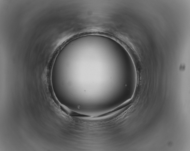 X0000097471404200802221225