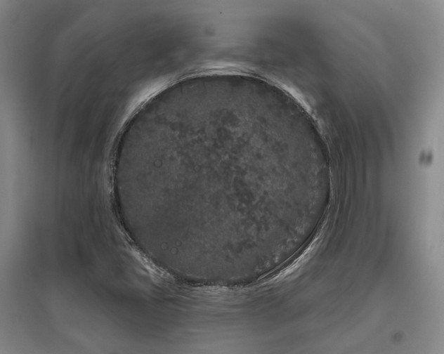 X0000097471405200802221225