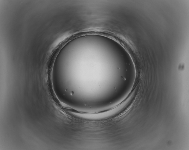 X0000097471406200802221225