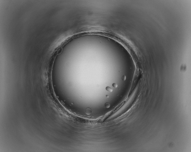 X0000097471407200802221225