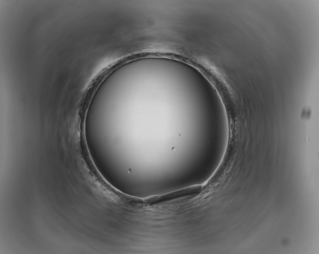 X0000097471408200802221226