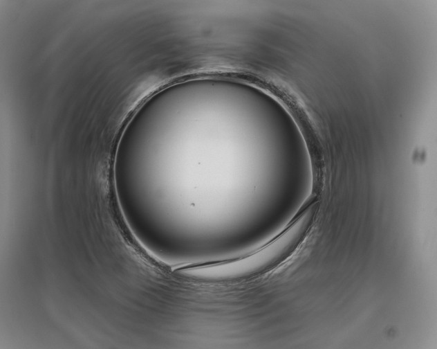 X0000097471409200802221226
