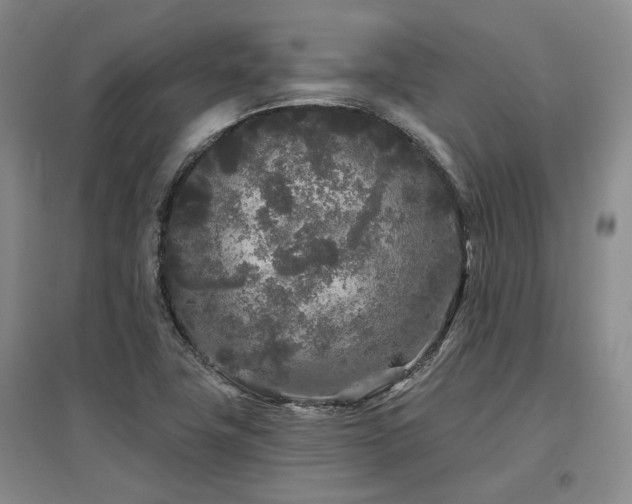 X0000097471411200802221226