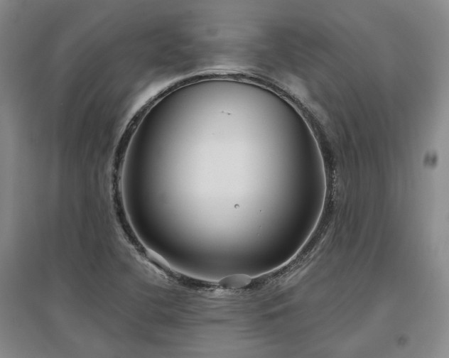 X0000097471412200802221226
