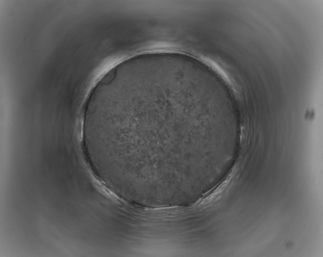 X0000097471413200802221226