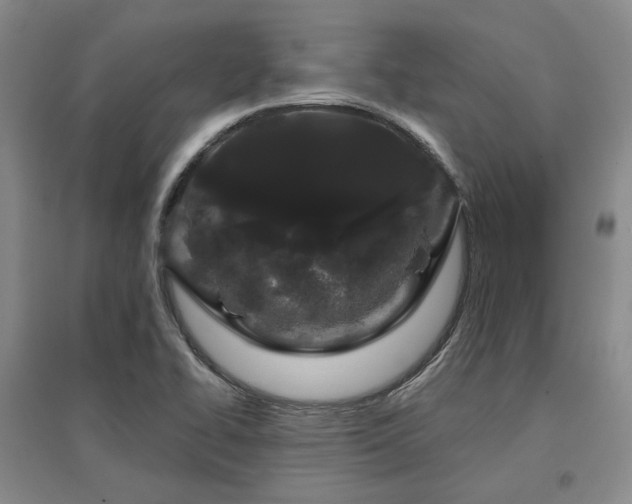 X0000097471414200802221226