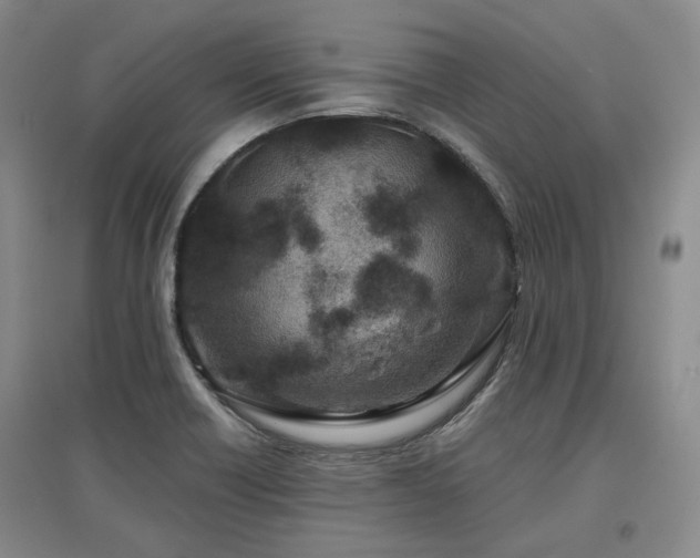 X0000097471418200802221226