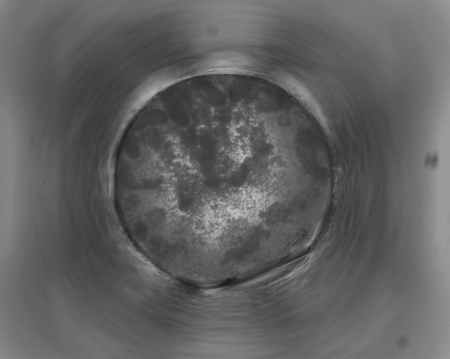 X0000097471419200802221226