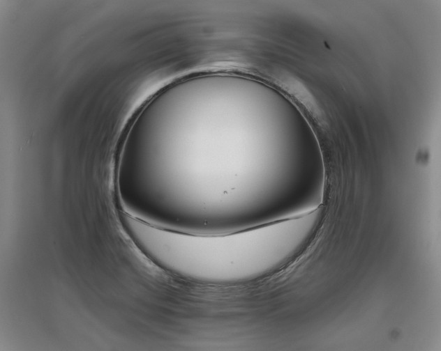 X0000097471420200802221226