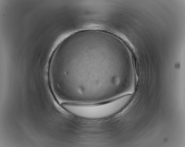 X0000097471421200802221226