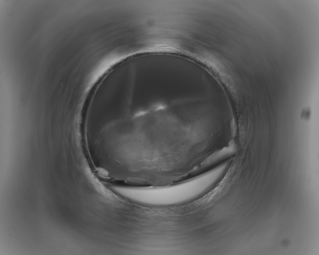 X0000097471422200802221226