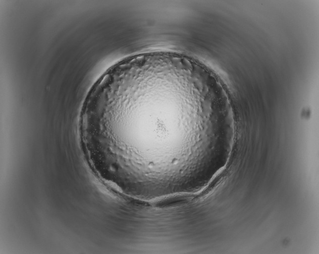 X0000097471423200802221226