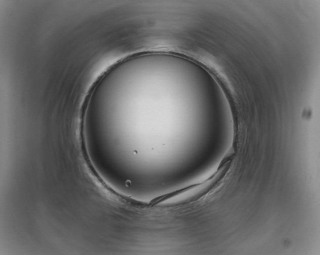 X0000097471424200802221226