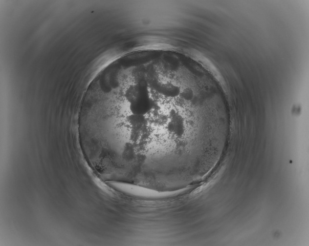 X0000097471425200802221226