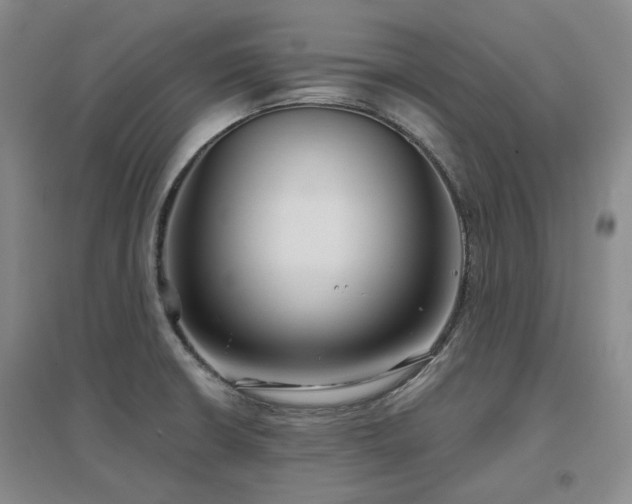 X0000097471426200802221226