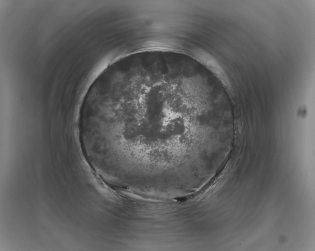 X0000097471427200802221226