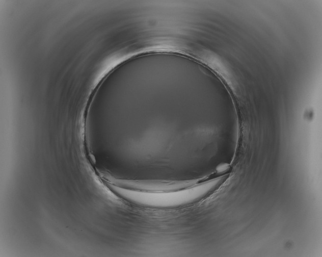 X0000097471428200802221226