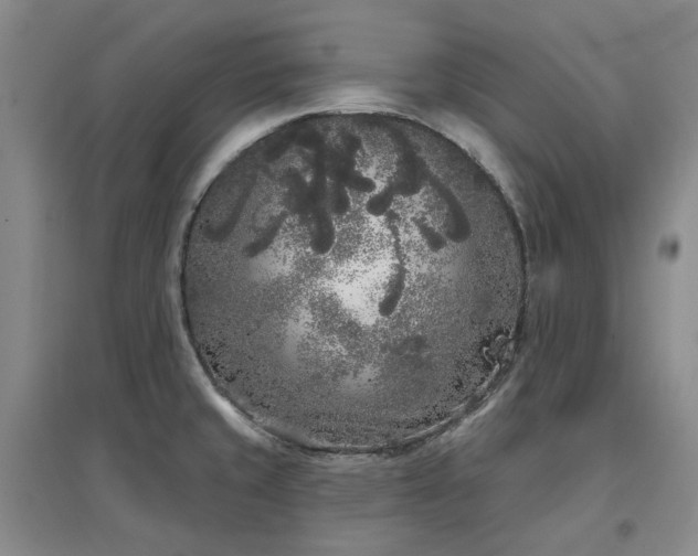 X0000097471429200802221226