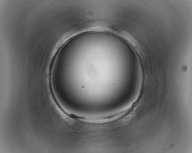 X0000097471430200802221226