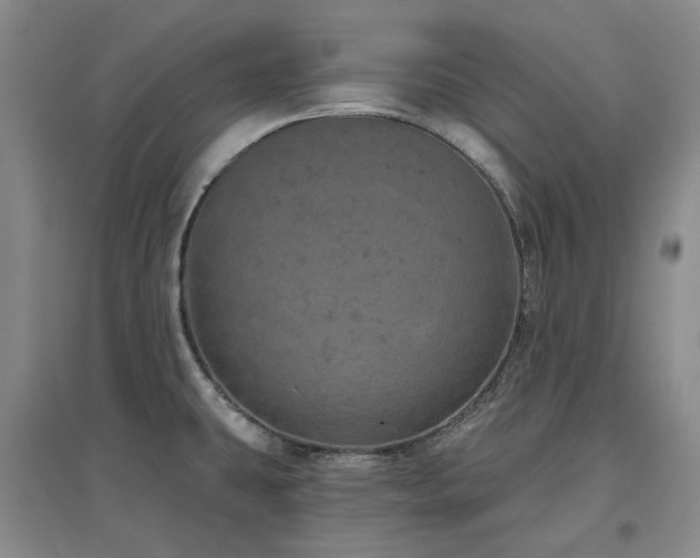 X0000097471431200802221226