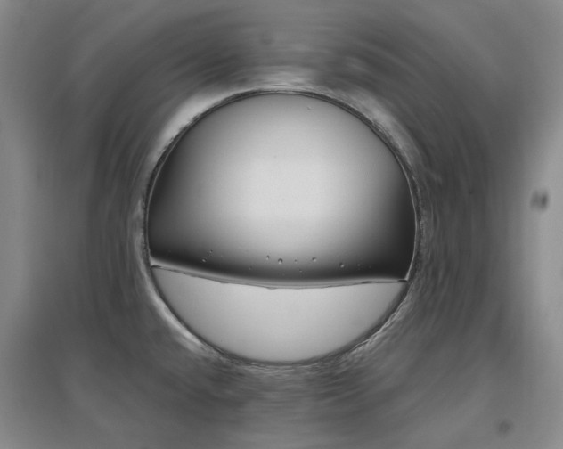 X0000097471432200802221226