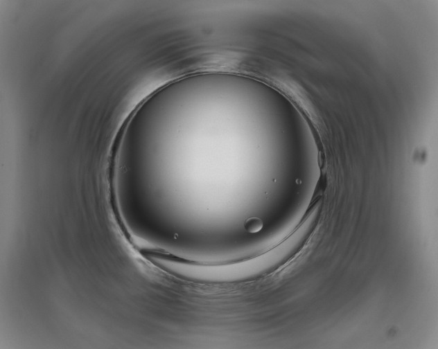 X0000097471434200802221226