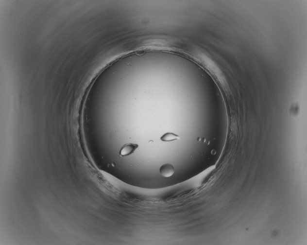 X0000097471435200802221226