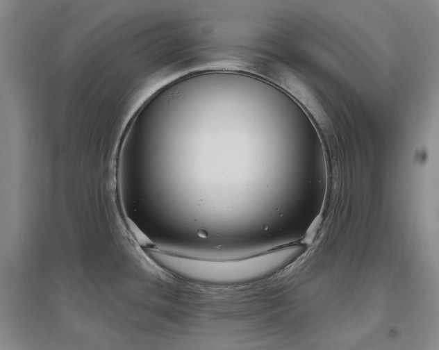 X0000097471436200802221226