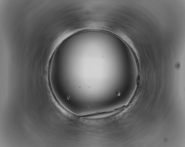 X0000097471437200802221226