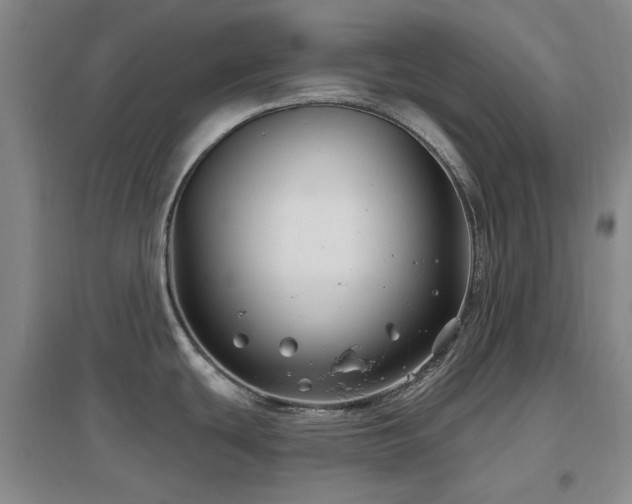 X0000097471439200802221226
