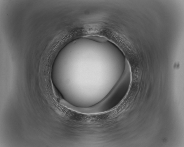 X0000097471441200802221225