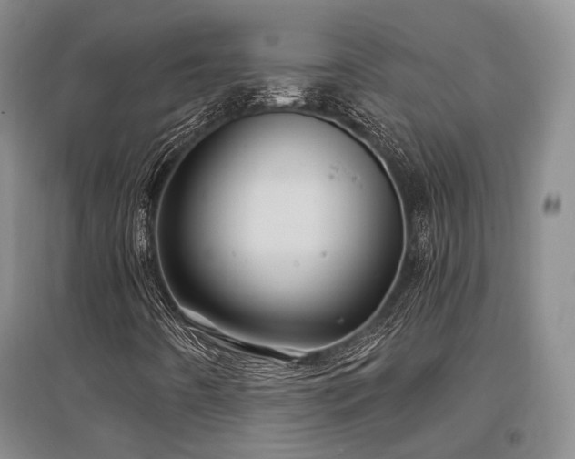 X0000097471442200802221225
