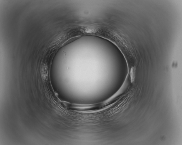 X0000097471443200802221225