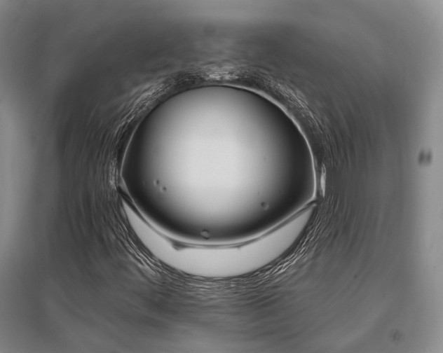 X0000097471444200802221225