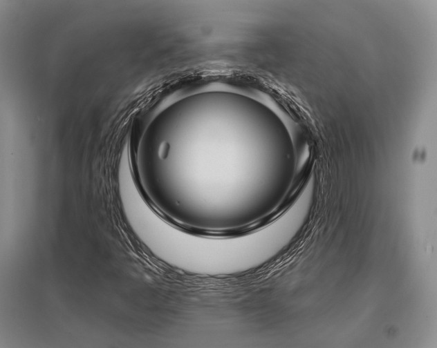 X0000097471445200802221225