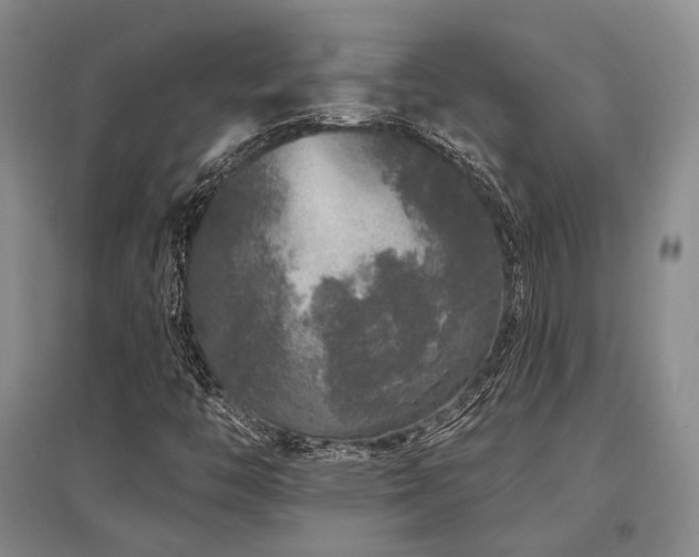 X0000097471446200802221225