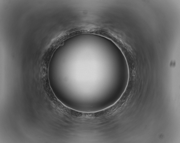 X0000097471447200802221225