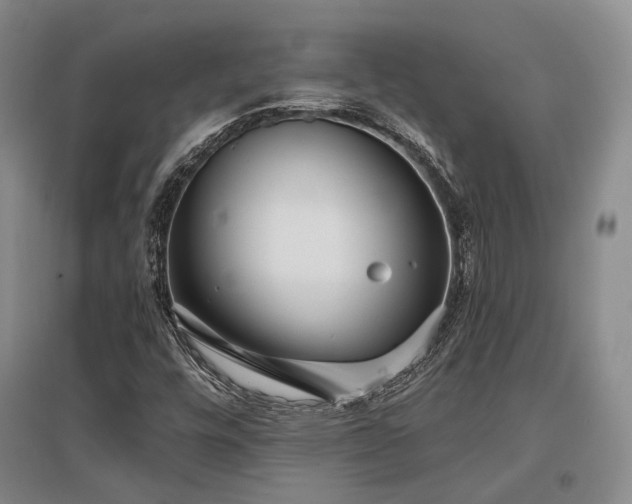 X0000097471448200802221225