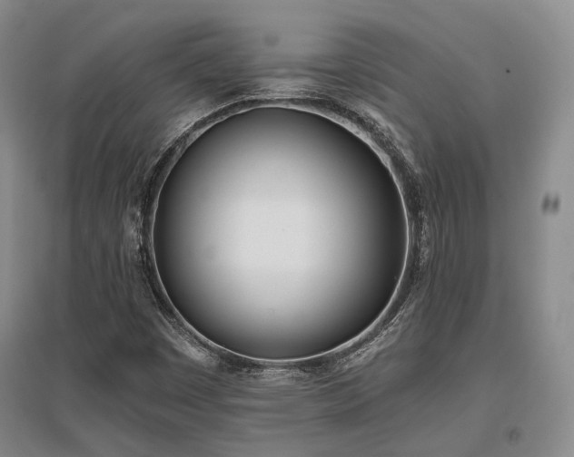 X0000097471449200802221225