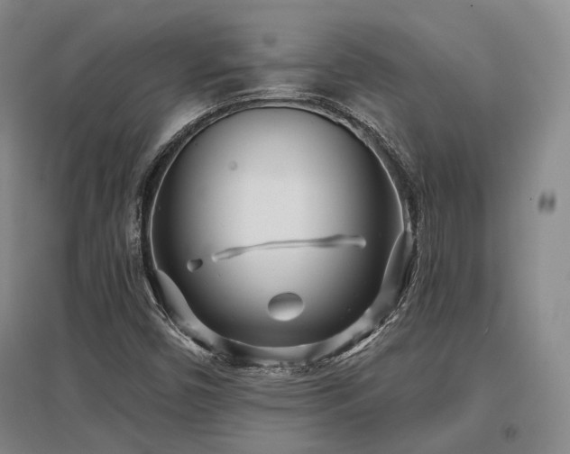 X0000097471450200802221225