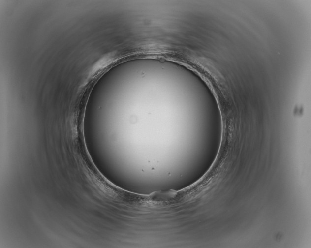 X0000097471451200802221225