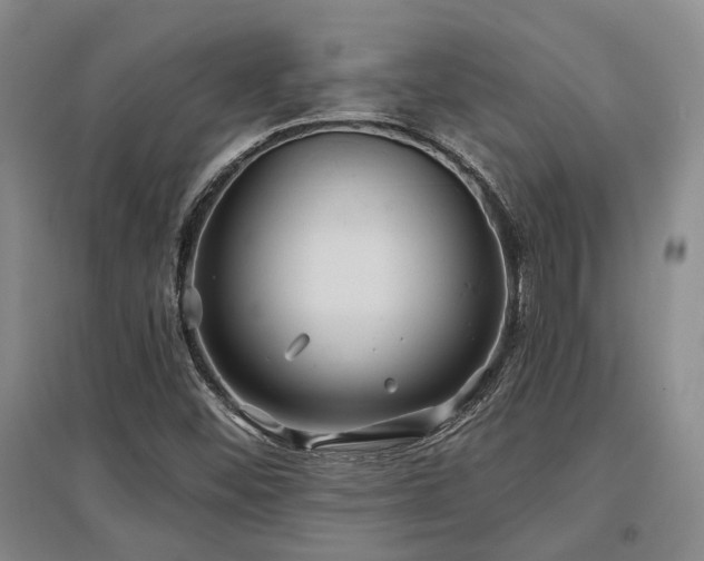 X0000097471452200802221225