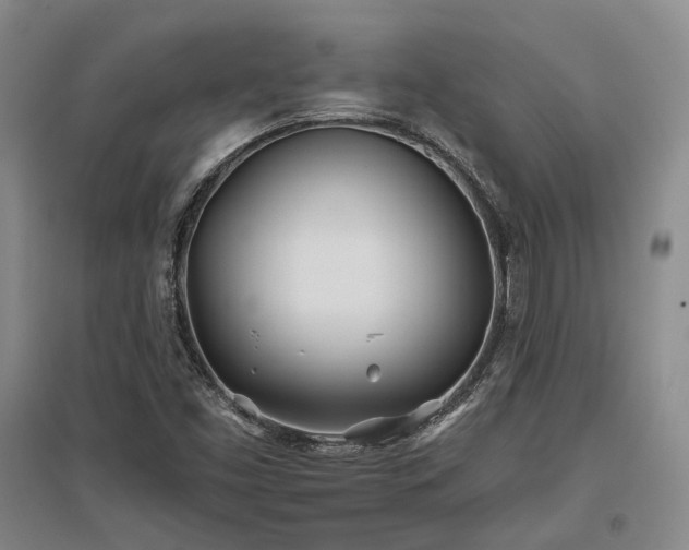 X0000097471453200802221225