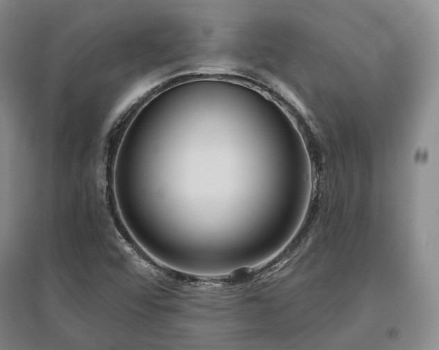 X0000097471456200802221225