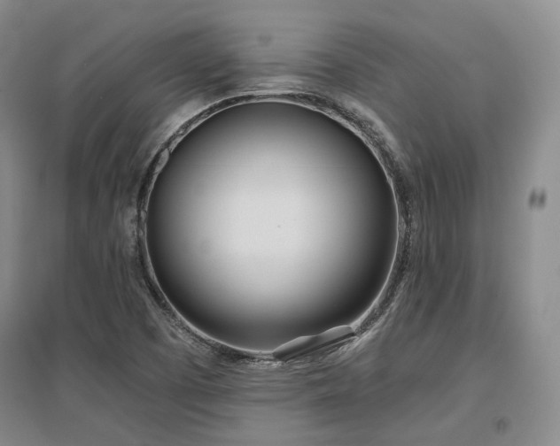 X0000097471457200802221225