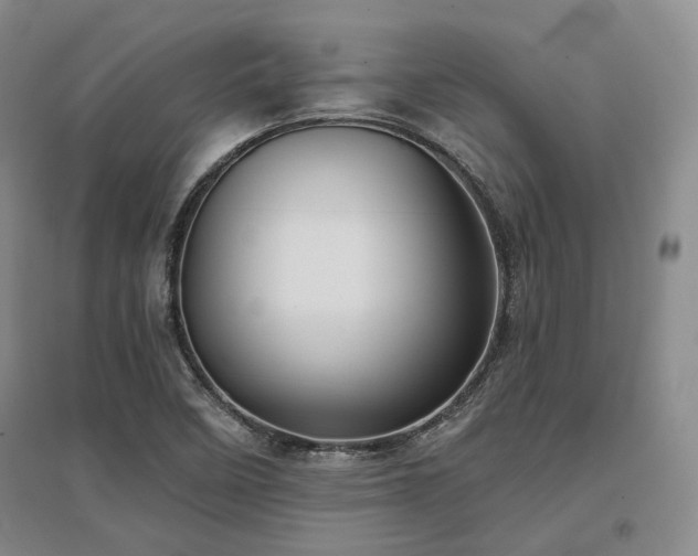 X0000097471458200802221225